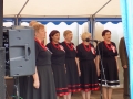 155 rocznica Bitwy pod Golczowicami 2018 r. (23.06.2018) [033]