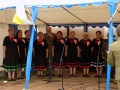 155 rocznica Bitwy pod Golczowicami 2018 r. (23.06.2018) [034]
