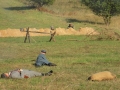 IV Piknik Historyczny "JURA 1914" w Krzywopłotach (09.09.2017 [050]