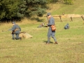 IV Piknik Historyczny "JURA 1914" w Krzywopłotach (09.09.2017 [052]