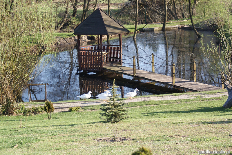 Ptaszarnia ks. Leszka Kapeli [042]