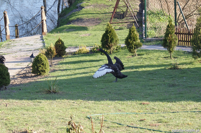 Ptaszarnia ks. Leszka Kapeli [045]