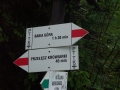 Wycieczka do Babiogórskiego Parku Narodowego 2015 r. (01.07.2015) [006]