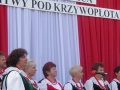 [018] 100 rocznica Bitwy pod Krzywopłotami - Krzywopłoty (14.09.2014) (2)