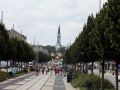 XXVIII Sosnowiecka Piesza Pielgrzymka na Jasną Górę (13.08.2019) [151]